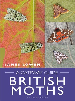 cover image of British Moths